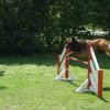 agility 2011-07-24